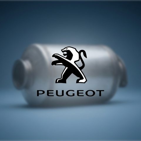 Reconditioned Peugeot DPF - Gap Turbos catalogue